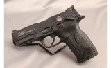 Smith & Wesson ~ M&P 22 Compact ~ .22 LR - 3 of 3