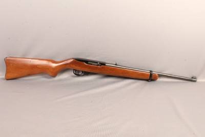 Ruger ~ 10/22 Carbine ~ .22 LR