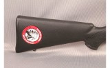 Savage ~ Mark II ~ .22 LR - 2 of 9