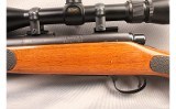 Remington ~ 700 ~ .243 Win - 10 of 12