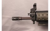 SIG~552~22LR - 11 of 13