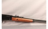 Henry~H003TM~22 MAG - 4 of 11