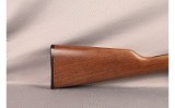 Henry~H003TM~22 MAG - 2 of 11