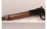 Henry~H001TMLP~22 MAG - 10 of 12