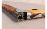 Felix Sarasketa~None~12 GA - 12 of 12