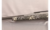 Springfield~2020~300 PRC - 9 of 12