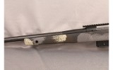 Springfield~2020~300 WIN MAG - 10 of 12