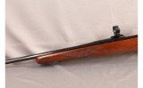 Ruger~77~6MM REM - 9 of 11