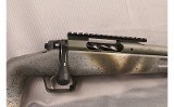 Springfield~2020~308 WIN - 6 of 11