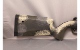 Springfield~2020~6.5MM PRC - 2 of 11