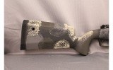 Springfield~2020~6.5MM PRC - 2 of 11
