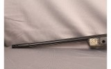 Springfield~2020~6.5MM PRC - 10 of 10