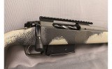 Springfield~2020~300 WIN MAG - 6 of 11