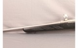 Tikka~T3~22-250 REM - 9 of 12
