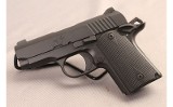 Kimber~Micro 9~9MM LUG - 3 of 3