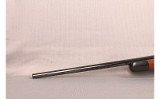 Savage~93~17 HMR - 10 of 10