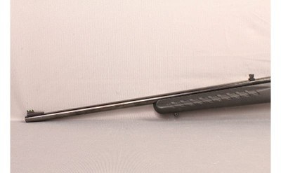 Ruger~American~17 HMR - Image 8 of 9