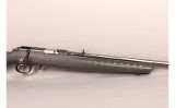 Ruger~American~17 HMR - Image 3 of 9