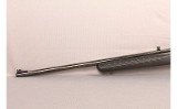 Ruger~American~17 HMR - Image 8 of 9