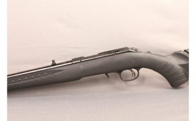 Ruger~American~17 HMR - Image 7 of 9