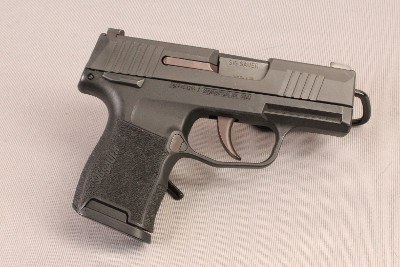 SIG SAUER~P365~9MM Lug - Image 1 of 3