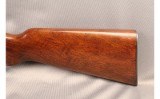 Winchester ~ Model 31 ~ .22 S, L, LR - 8 of 11