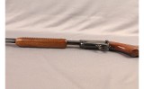 Winchester ~ Model 31 ~ .22 S, L, LR - 6 of 11