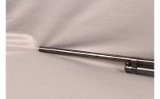 Winchester ~ Model 42 ~ .410 - Image 10 of 10