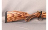 Howa~Vanguard 25th Anniversary~300 WEA MAG - 2 of 9