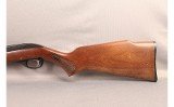 Glenfield~60~22 LR - 6 of 10