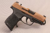 SIG SAUER~P365 Snakebite~9MM LUG - 1 of 4