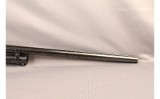 Winchester~12~20 GA - 4 of 9