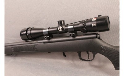 Savage~93R17~17 HMR - Image 9 of 9