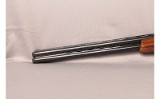 ARMITECNICHE-RIZZINI-EMILIO~None~None - Image 7 of 8
