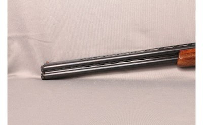 ARMITECNICHE-RIZZINI-EMILIO~None~None - Image 7 of 8