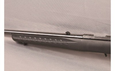 Ruger ~ American ~ .22 LR - Image 10 of 11