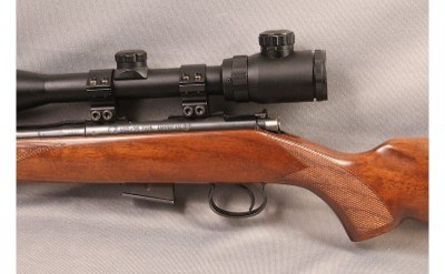 CZ ~ 452-2E ZKM American ~ .17 HMR - Image 8 of 10