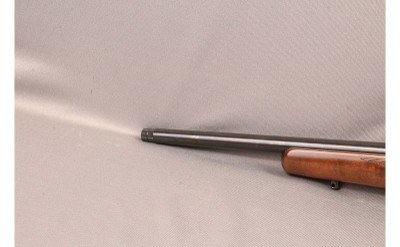 CZ ~ 452-2E ZKM American ~ .17 HMR - Image 10 of 10