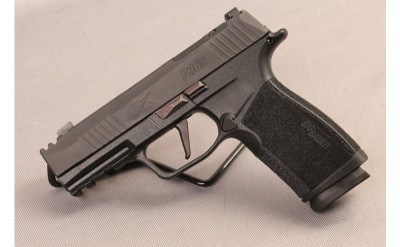 SIG SAUER~P365~9MM LUG - Image 2 of 3