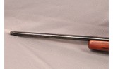 Marlin ~ XT-22 ~ .22 LR - Image 11 of 11