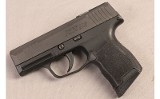SIG SAUER~P365 SAS~9MM LUG - Image 2 of 3