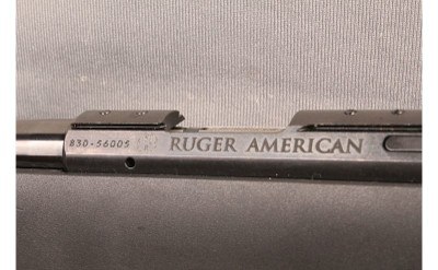 Ruger~American~17 HMR - Image 8 of 8