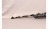 Ruger~American~17 HMR - Image 7 of 8