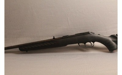 Ruger~American~17 HMR - Image 6 of 8