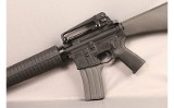 Palmetto State~PA-15~None - Image 6 of 7