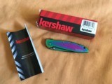 Kershaw 1660 VIB Rainbow Leek pocket knife