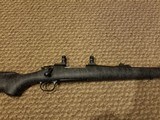 Remington 700 416 rem mag - 1 of 8