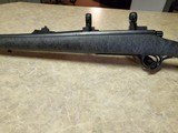 416 remington mag - 7 of 7