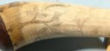 SOUTHERN AMERICAN SCRIMSHAW CARVED POWDER HORN WITH FLORAL AND ANIMAL MOTIFS CIRCA 1820-1840. - 6 of 6