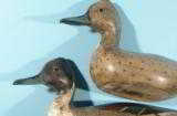 SUPERB PAIR OF WARD BROTHERS, CRISFIELD, MARYLAND PINTAIL DUCK DECOYS CA. 1930. - 6 of 9